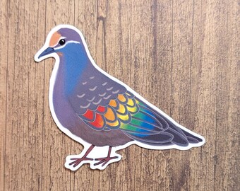 Bronzewing Pigeon Vinyl Sticker - Bronze Wing Water Resistant Decal
