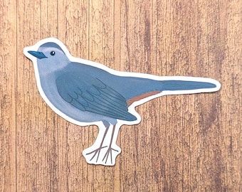 Grey Catbird Vinyl Sticker - Water Resistant Decal