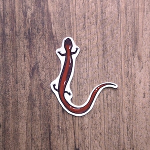 Red-Backed Salamander Vinyl Sticker - Water Resistant Laptop and Bottle Decal