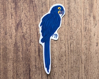 Hyacinth Macaw Vinyl Sticker