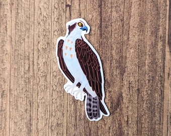 Osprey Vinyl Sticker - Water Resistant Laptop Decal