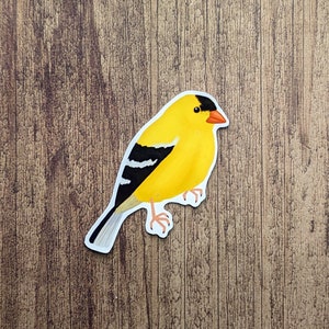 Bird Sticker Pack 12pc / Bird Stickers / Nature Stickers / Bird