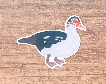 Muscovy Duck Vinyl Sticker - Decal For Laptop