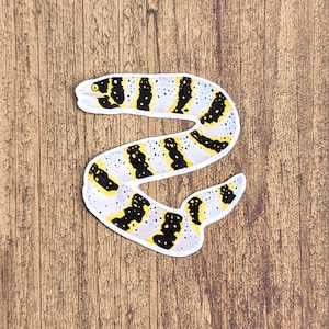 May include: A sticker of a black and yellow banded snake with a white background. The snake is curled in a 'S' shape.