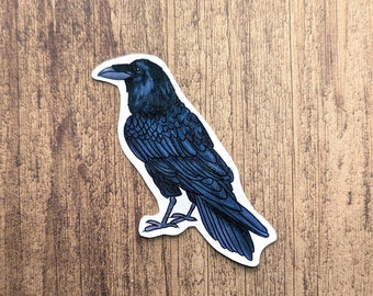 Puede incluir: Una pegatina de cuervo negro con plumas azules, posada sobre una superficie de madera.