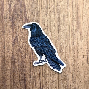 Raven Vinyl Sticker - Water Resistant Illustrated Decal