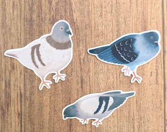 City Pigeons Vinyl Stickers - Water Resistant Decals