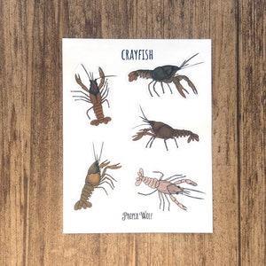 Crayfish Sticker Sheet - Crawfish Stickers Set For Planners and Bullet Journals