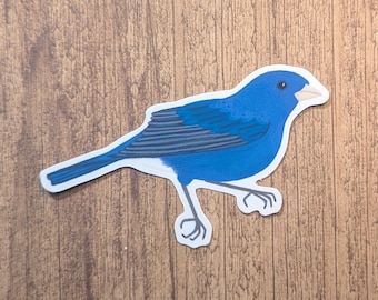 Indigo Bunting Vinyl Sticker - Water Resistant Bird Decal