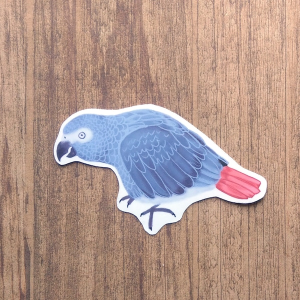 African Grey Parrot Vinyl Sticker - Cute Bird Decal For Water Bottle Or Laptop