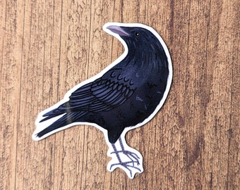 American Crow Vinyl Sticker - Water Resistant Illustrated Decal