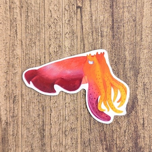 May include: A red and orange cuttlefish sticker with a white eye. The cuttlefish has a long, thin body and eight arms.