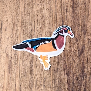 Wood Duck Vinyl Sticker - Water Resistant Laptop Decal