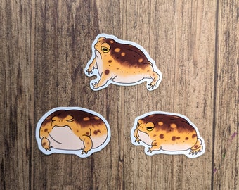 Desert Rain Frog Vinyl Stickers - Water Resistant Decals