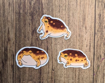 Desert Rain Frog Vinyl Stickers - Water Resistant Decals