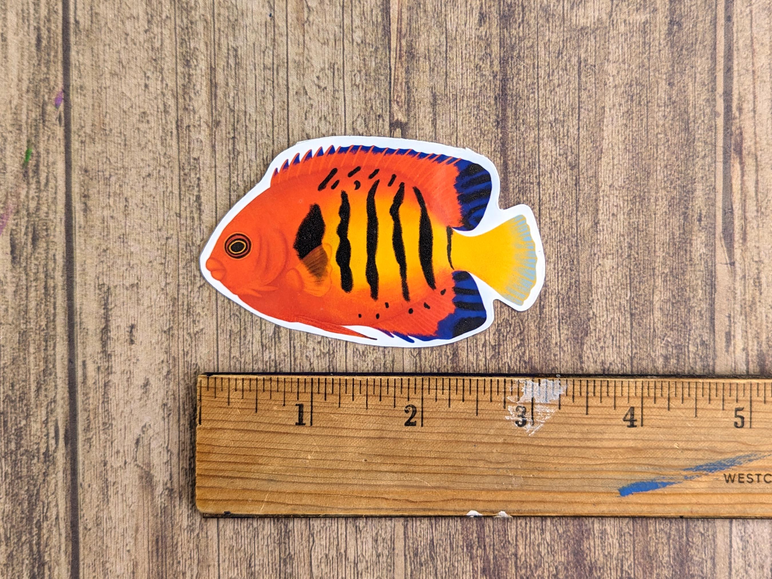 Flame Angelfish Vinyl Sticker - Water Resistant Laptop and Water Bottle ...