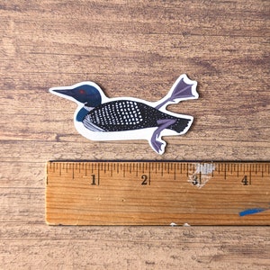 Common Loon Vinyl Sticker - Water Resistant Laptop Decal - Etsy