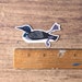 Common Loon Vinyl Sticker - Water Resistant Laptop Decal - Etsy