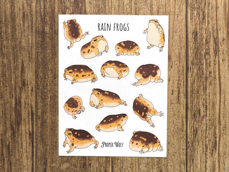 A sticker sheet with 13 chubby desert rain frogs in various positions.
