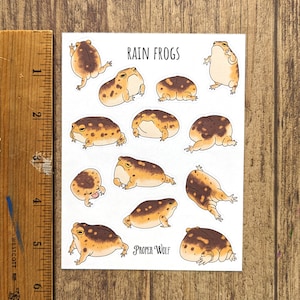 A desert rain frog sticker sheet pictured next to a ruler, showing that it is 5.5 inches tall.