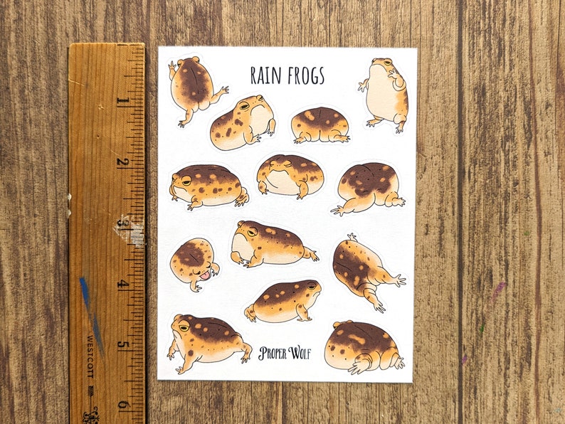 A desert rain frog sticker sheet pictured next to a ruler, showing that it is 5.5 inches tall.