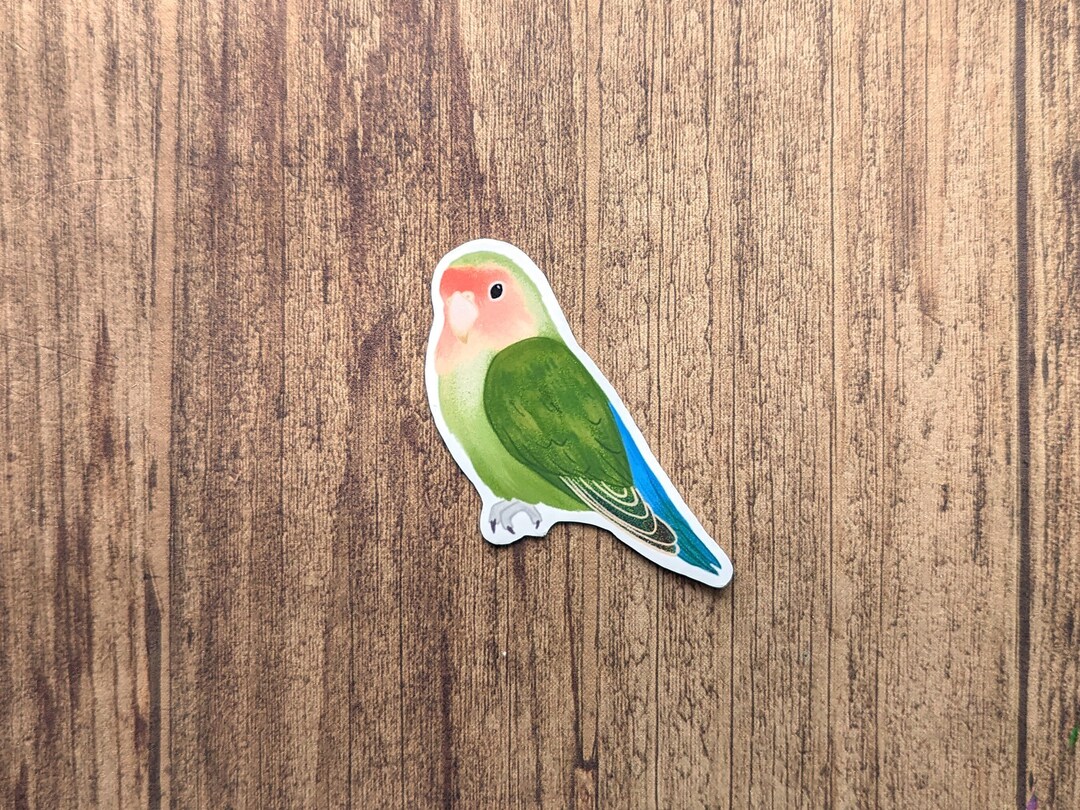 Lovebird Vinyl Sticker - Cute Bird Decal for Water Bottle or Laptop - Etsy