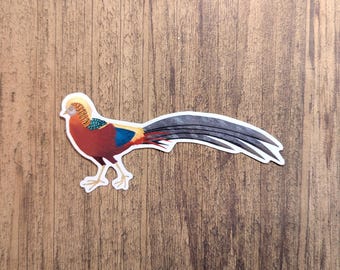 Red Golden Pheasant Vinyl Sticker - Water Resistant Laptop Decal