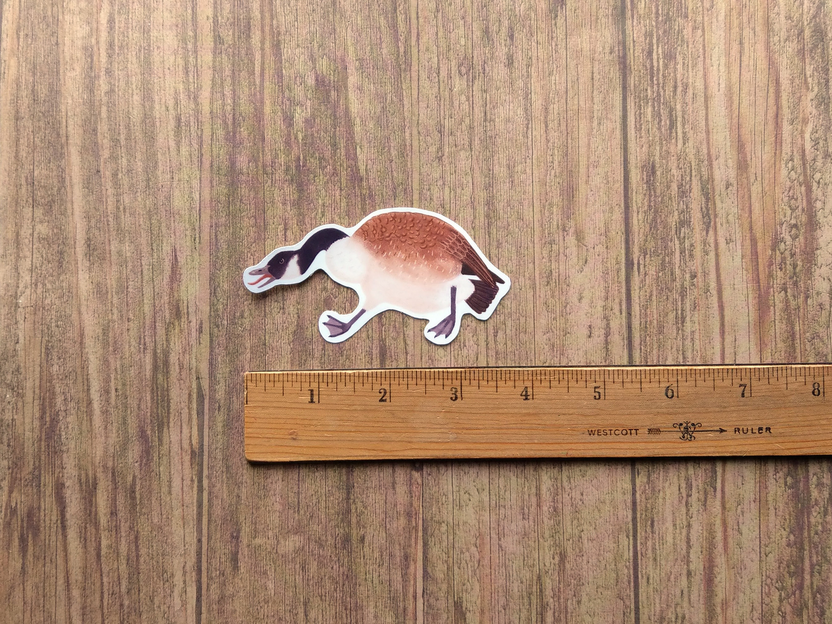 Canada Goose Vinyl Sticker - Water Resistant Canadian Geese Laptop ...