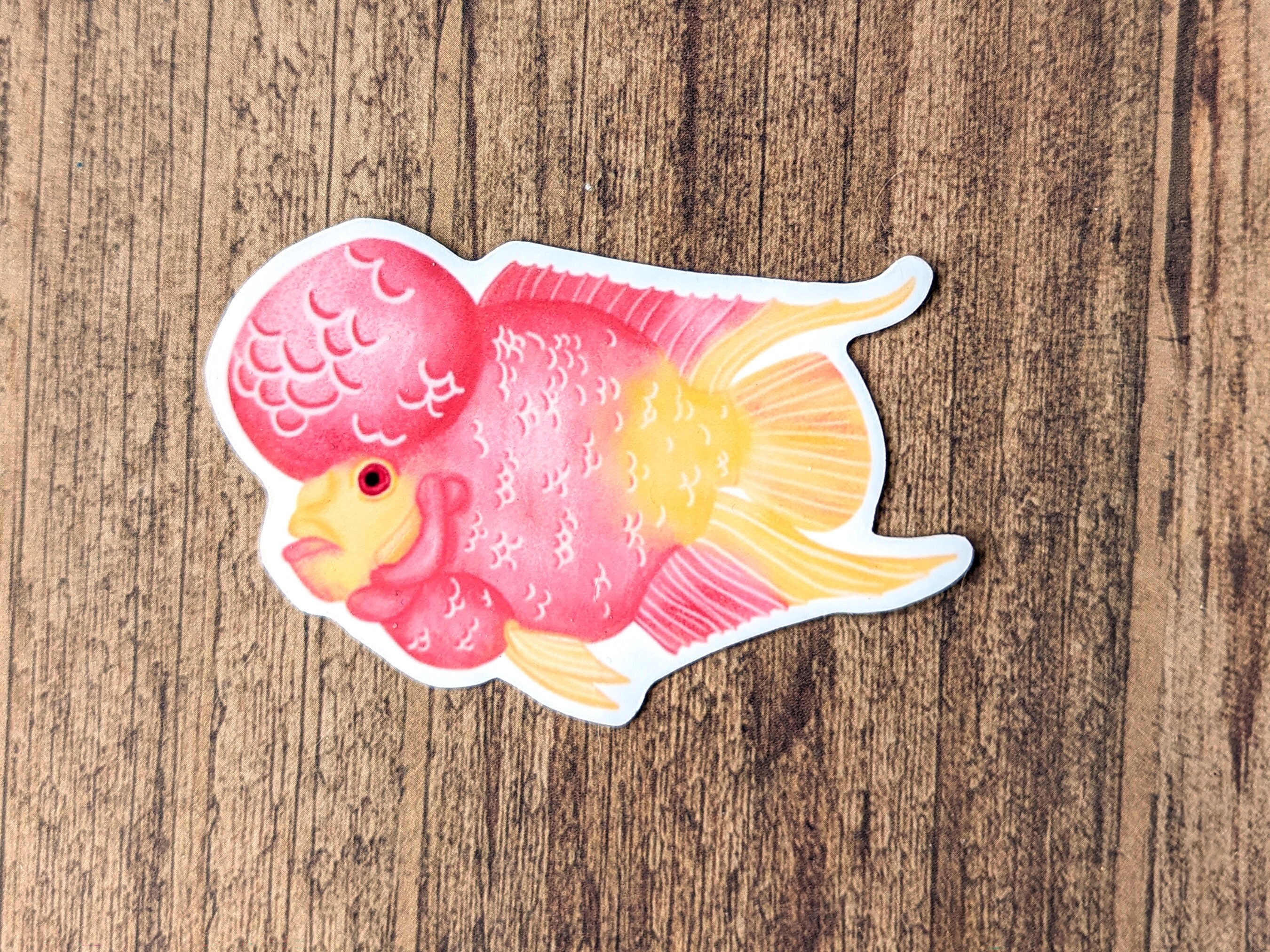 Flowerhorn Cichlid Vinyl Sticker - Water Resistant Fish Laptop and Water Bottle Decal