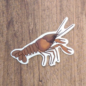 Crayfish Vinyl Sticker - Water Resistant Crawfish Laptop and Water Bottle Decal