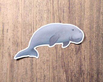Dugong Vinyl Sticker - Water Resistant Decal