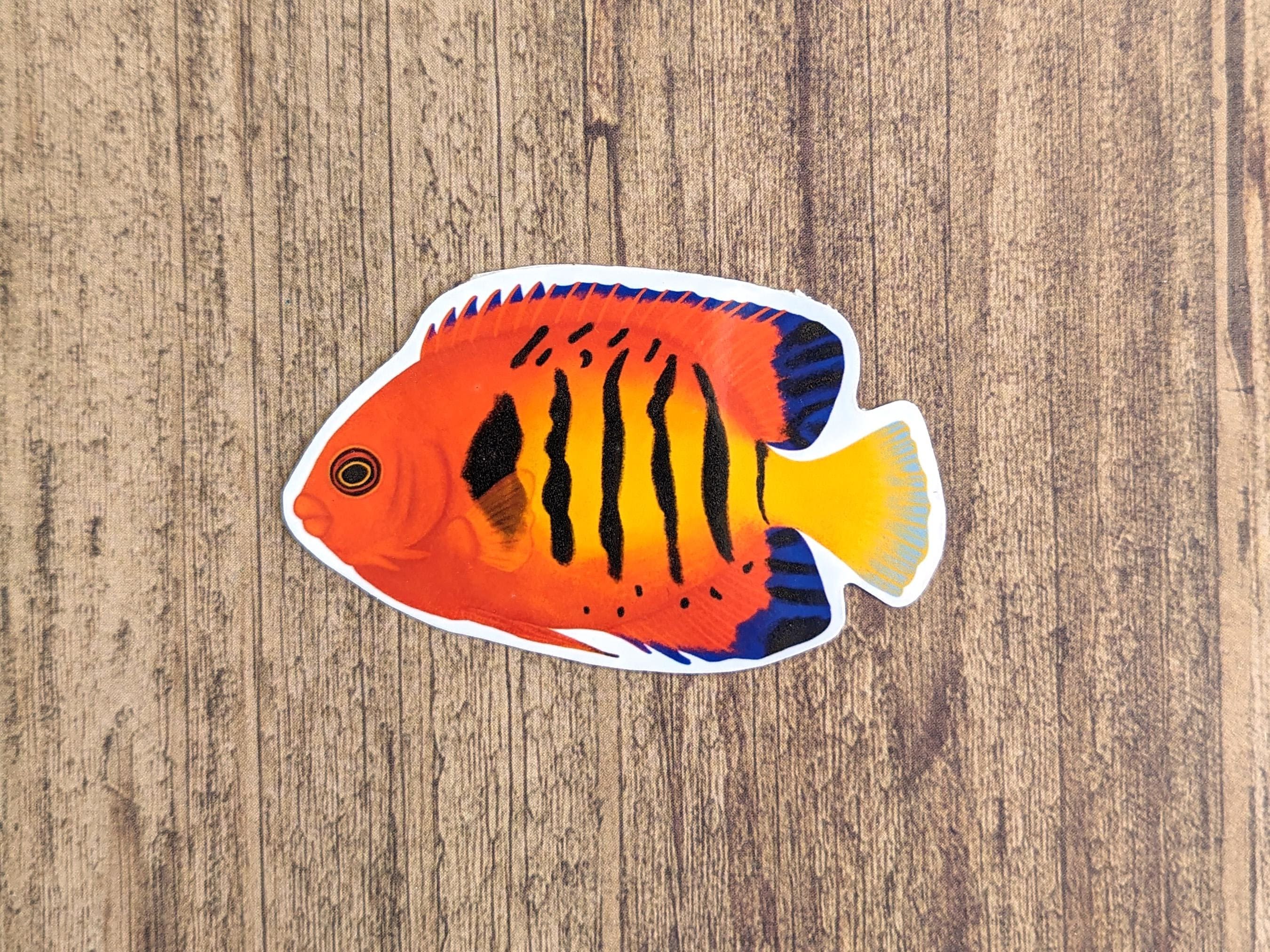 Flame Angelfish Vinyl Sticker - Water Resistant Laptop and Water Bottle ...