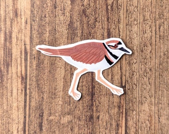 Killdeer Vinyl Sticker - Water Resistant Shorebird Laptop Decal