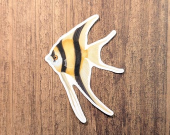 Angelfish Vinyl Sticker - Water Resistant Laptop and Bottle Decal