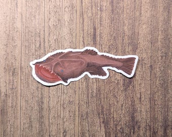 Chaca Frogmouth Catfish - Water Resistant Decal