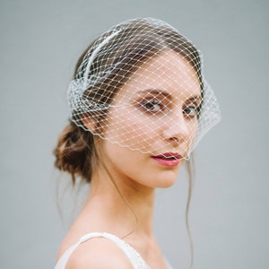 Veil Birdcage, Bridal Birdcage, French Netting - "Linn"