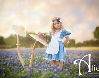 Alice In Wonderland Blue White Inspired Princessduke Dress With Separate Apron