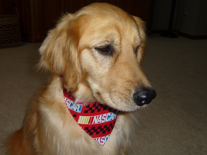 red NASCAR Dog Scarf