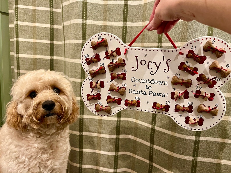 May include: A white bone-shaped advent calendar with 24 numbered slots, each containing a dog treat. The calendar is decorated with red bows and snowflakes. The text "Joey's Countdown to Santa Paws!" is written on the calendar. A small, white dog is looking at the calendar.