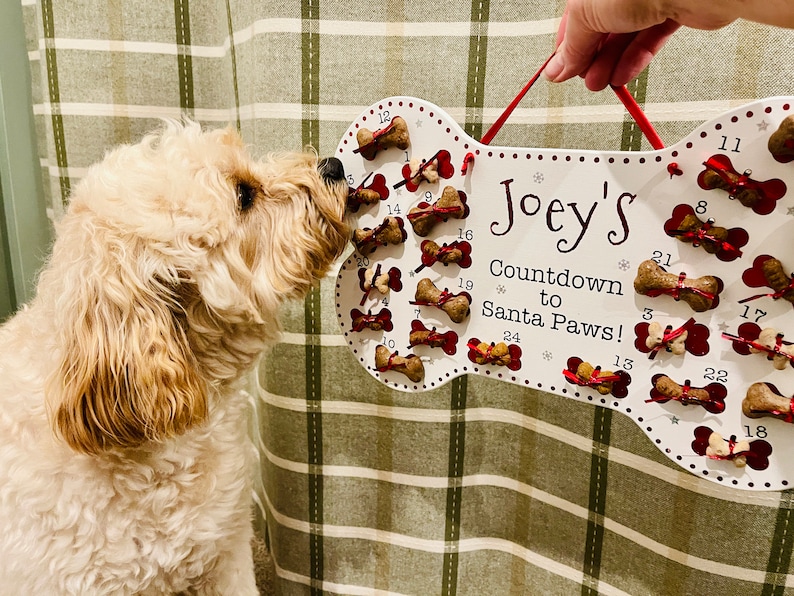 May include: A white bone-shaped dog treat advent calendar with the name "Joey's Countdown to Santa Paws!" printed on it. A dog is sniffing the calendar.
