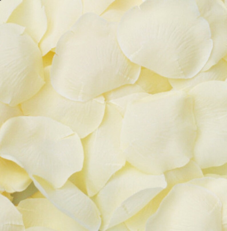 Silk Flower Petals Ivory 500 pack Aisle Decor Wedding Etsy