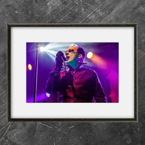 Dave Vanian of The Damned - An Original High Quality Concert Photo Print