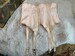 Vintage Corset Girdle with Garters // Size L > 'Nip-N-Waist' brand by California Foundations > peach, ribbon rose, stays, hooks & eyes 