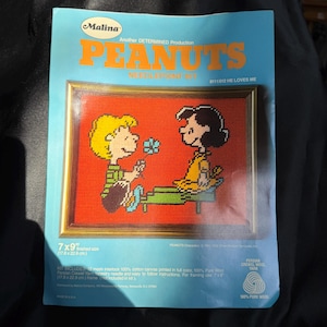 Peanuts "He Loves Me" Needlepoint Kit Malina #8111/012 // 7x9" > Rare > complete but has been started, Persian wool crewel yarn