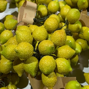 May include: A bunch of small, yellow, artificial lemons with a textured surface. The lemons are arranged in a cluster and are attached to a brown stem. The lemons are surrounded by brown paper with the words "Amitie" and "Culler" written on them.