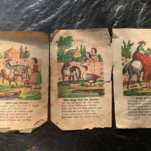 Pages anciennes colorées à la main du XIXe siècle / 10 x 6,25 pouces > papier chiffon, poèmes pour enfants, chèvres, cheval, chien, oie > début de l'époque victorienne, années 1800