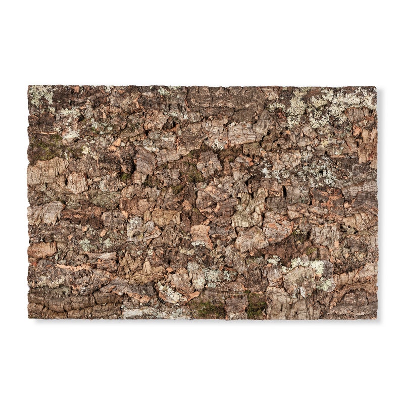 May include: Rectangular cork board with a natural, textured surface. The cork has a mix of brown, tan, and gray tones, with patches of green and white. The surface is rough and uneven, showcasing the natural bark texture.