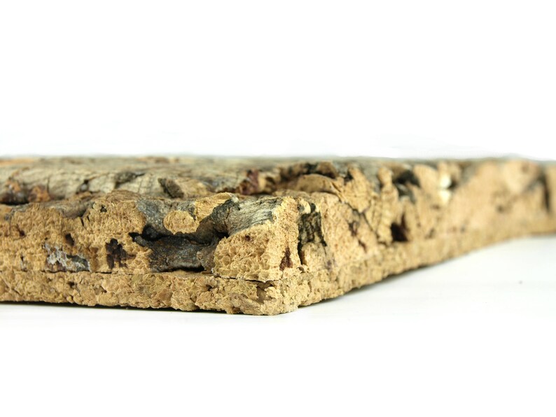 XL Natural Cork Tile Panel Background Wall 3D Reptile Etsy UK