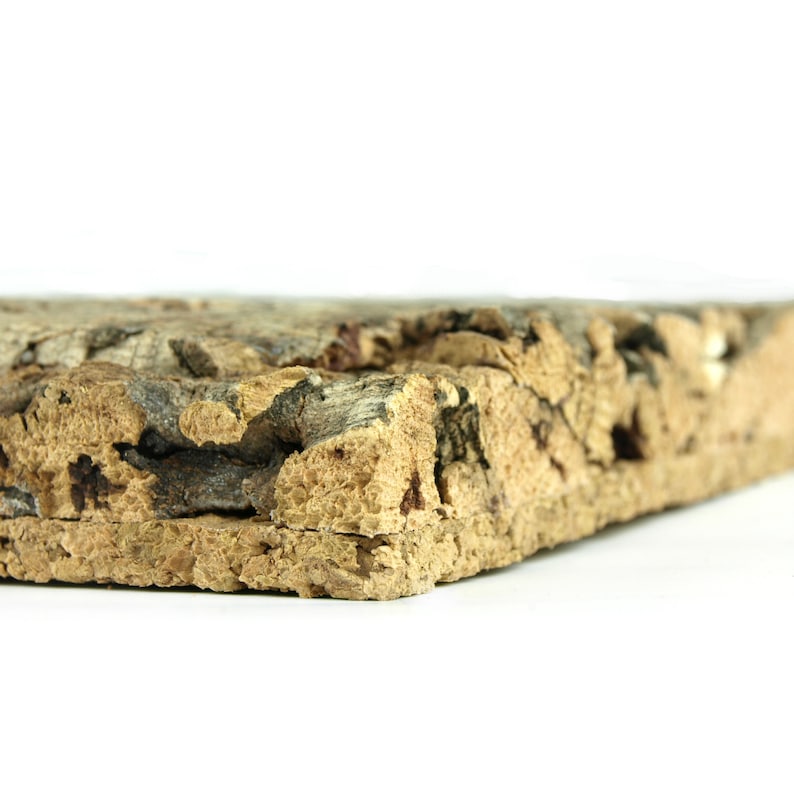 May include: Close-up of a rectangular piece of cork with a natural, textured surface. The cork has a light brown color with darker brown and black areas, and a rough, uneven edge. The background is white.