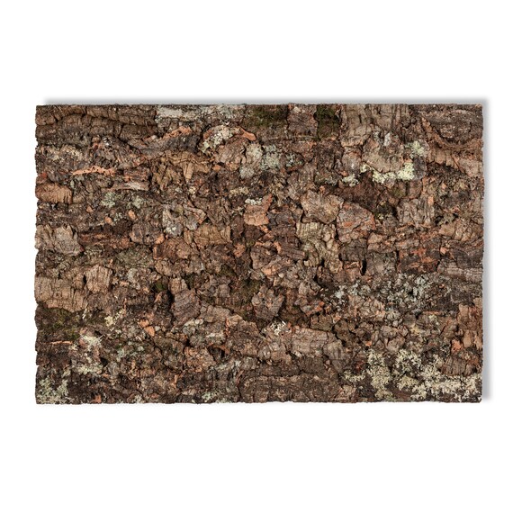 Natural Cork Tile Panel Background Wall 3D Reptile Terrarium Etsy